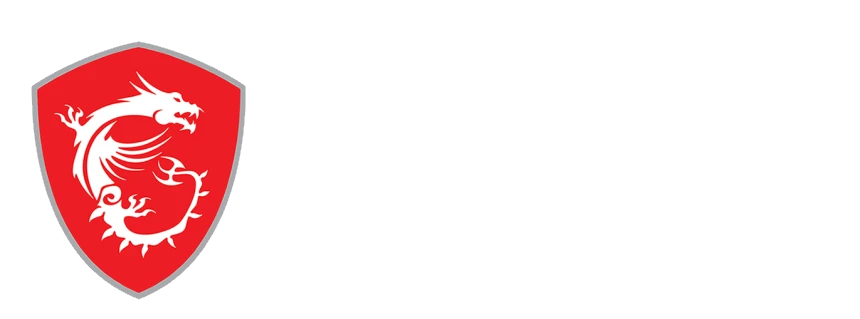 MSI