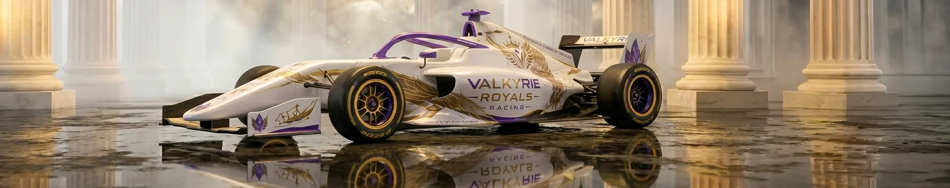 Valkyrie banner