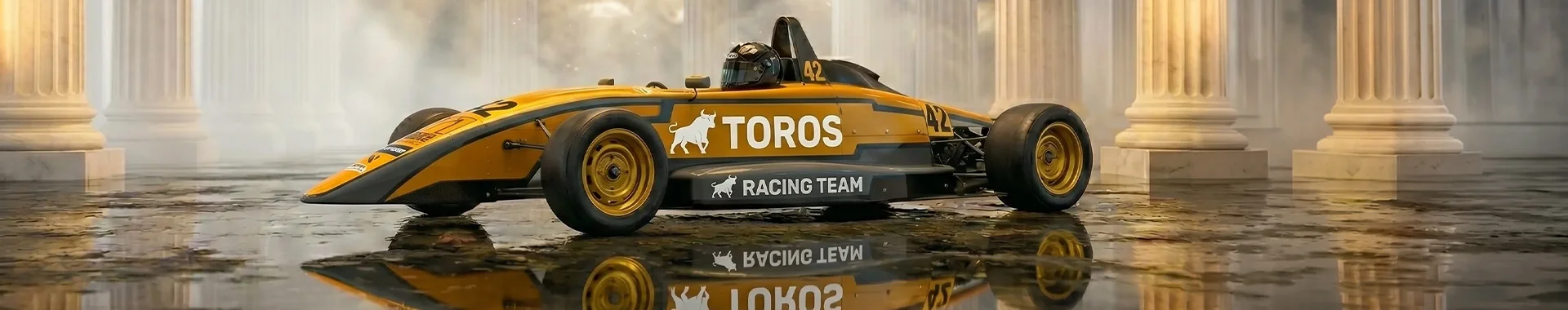 JM Trigo banner