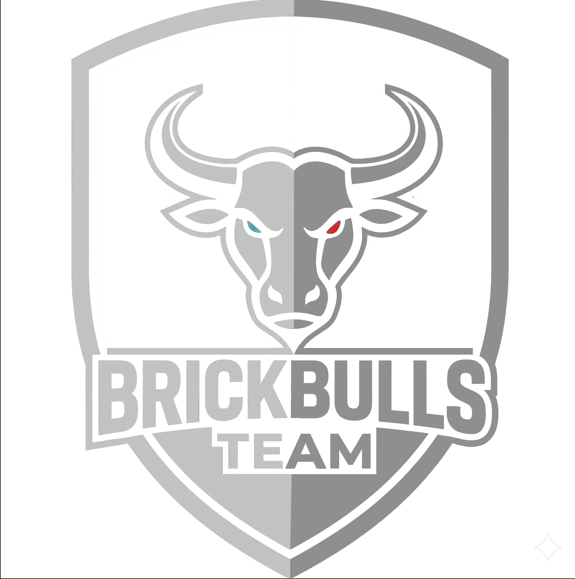 Brickbulls Team