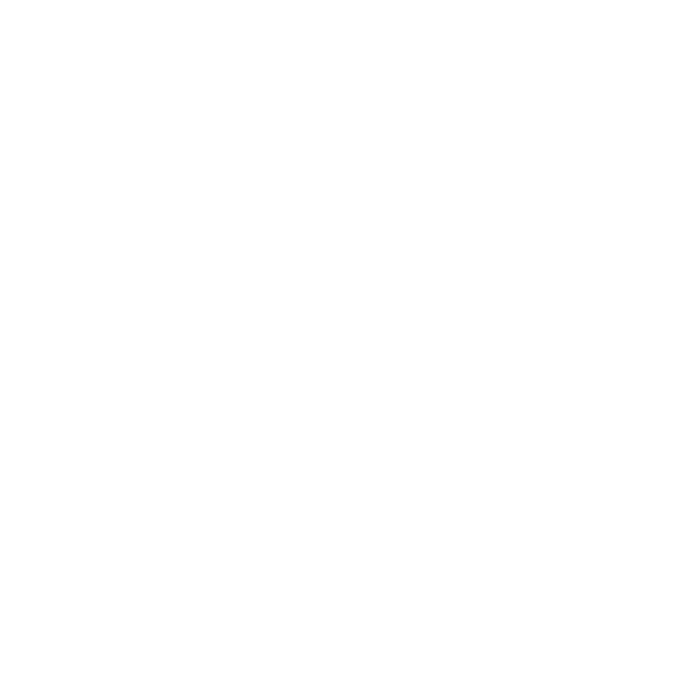 fatcat race systems