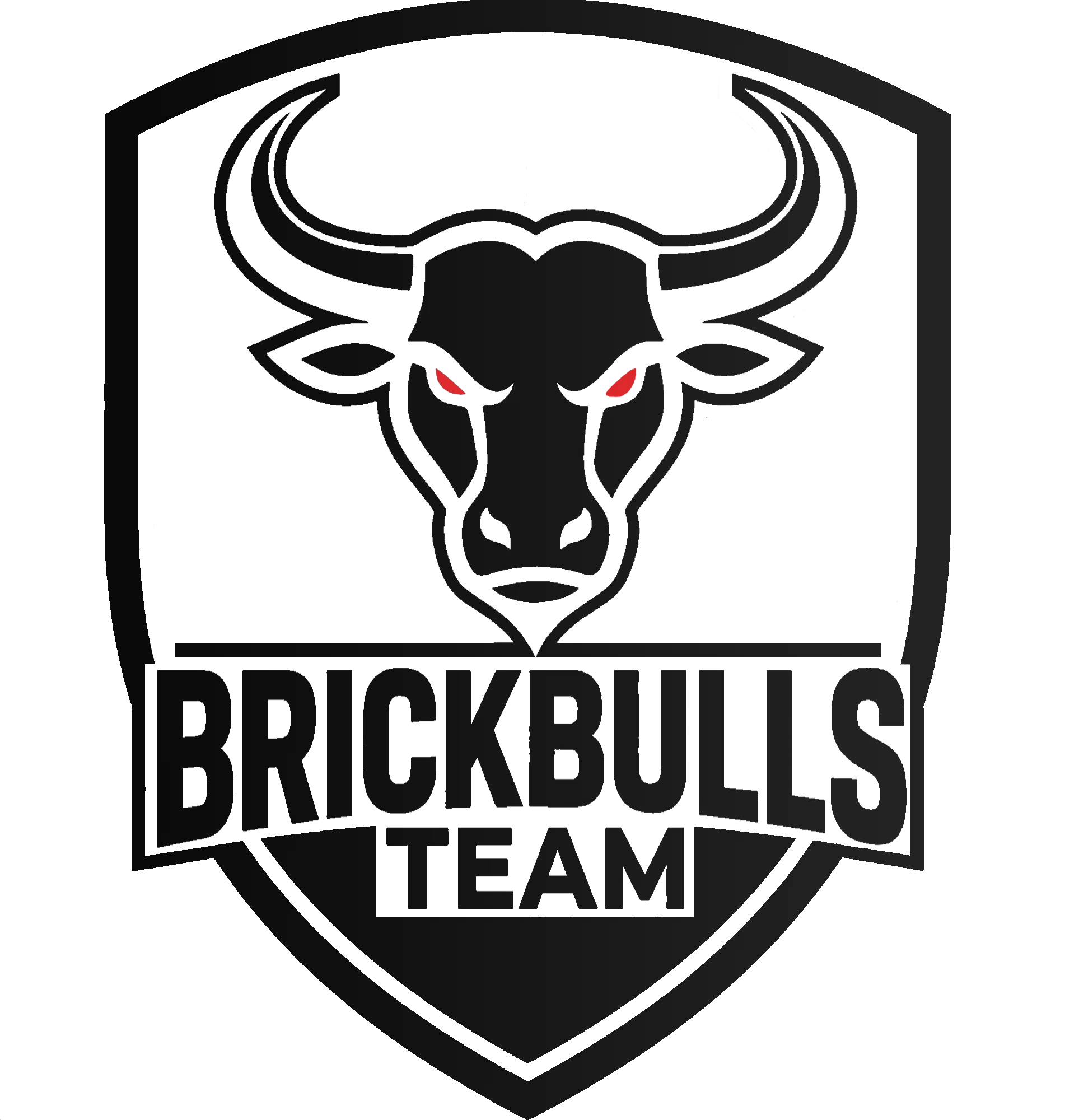 Brickbulls Team