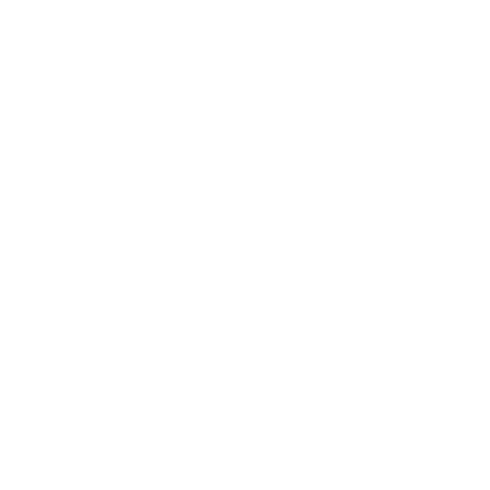 vRacer